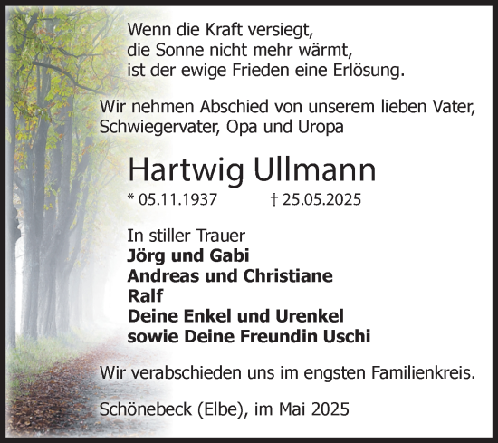 Traueranzeige von Hartwig Ullmann von Volksstimme Schönebeck
