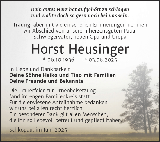 Traueranzeige von Horst Heusinger von Trauerkombi Merseburg