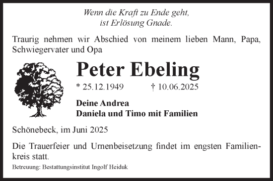 Traueranzeige von Peter Ebeling von Volksstimme Schönebeck