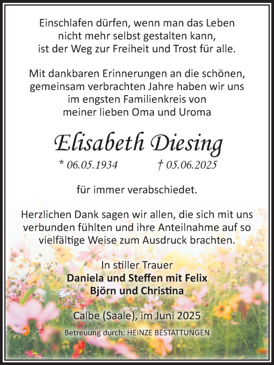 Traueranzeige von Elisabeth Diesing von Volksstimme Schönebeck