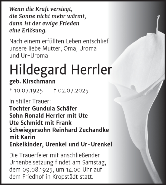 Traueranzeige von Hildegard Herrler von Trauerkombi Wittenberg