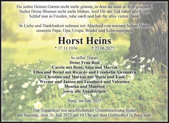 Traueranzeige von Horst Heins von Volksstimme Burg/Genthin