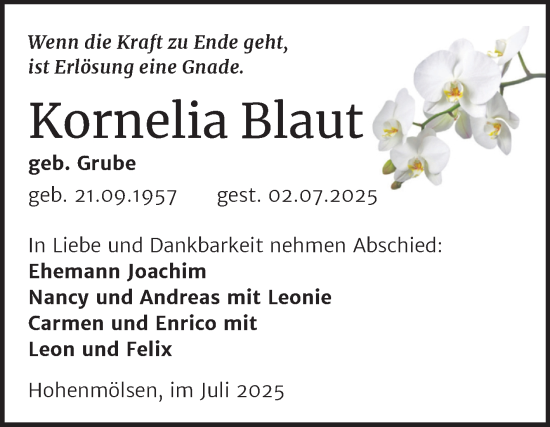 Traueranzeige von Kornelia Blaut von Trauerkombi Weißenfels