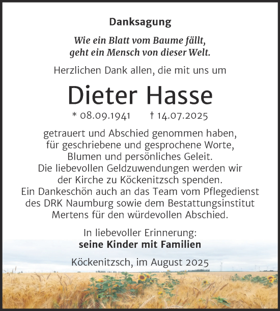 Traueranzeige von Dieter Hasse von Super Sonntag Naumburg/Nebra