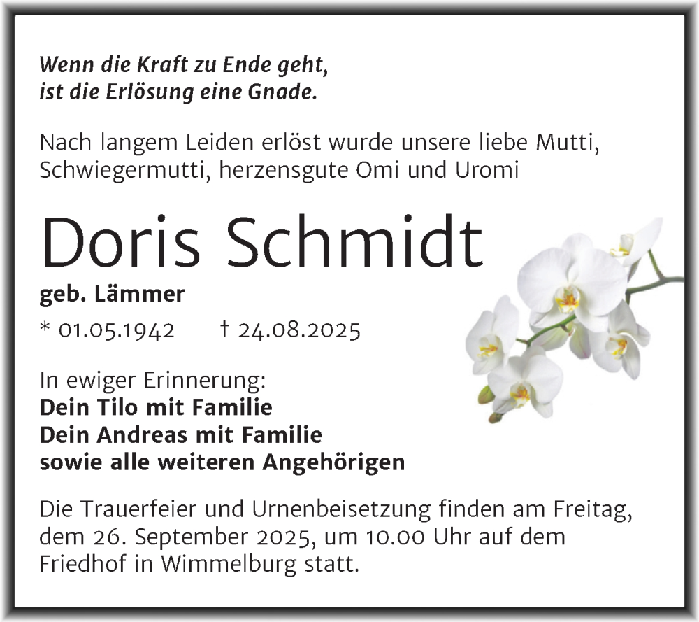  Traueranzeige für Doris Schmidt vom 30.08.2025 aus Trauerkombi Mansfelder Land