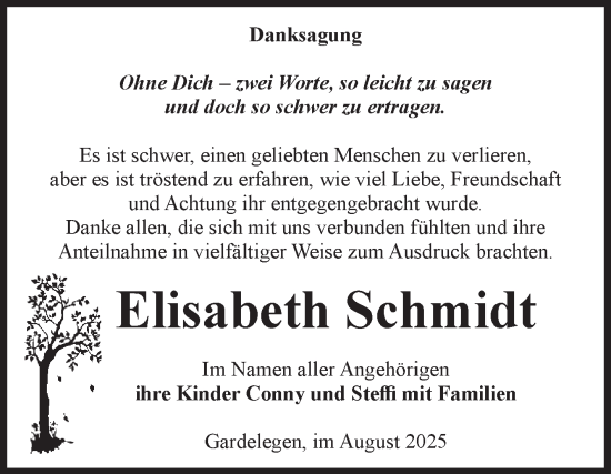 Traueranzeige von Elisabeth Schmidt von Volksstimme Altmark West
