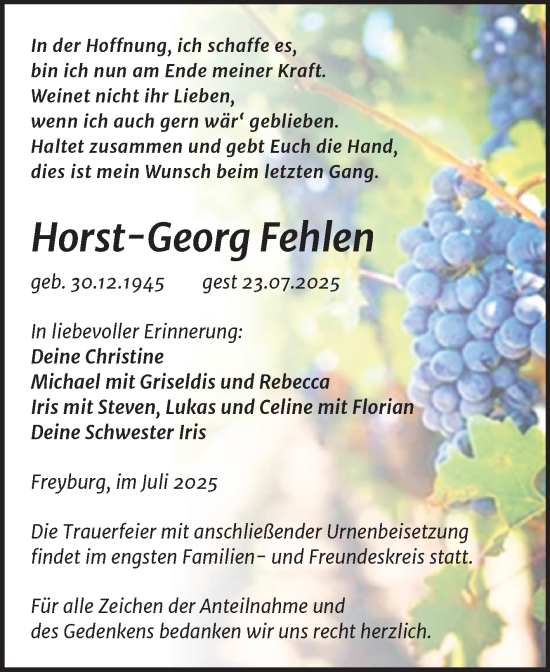 Traueranzeige von Horst-Georg Fehlen von Super Sonntag Naumburg/Nebra