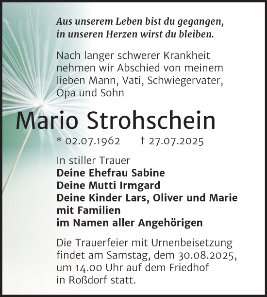 Traueranzeige von Mario Strohschein von Trauerkombi Bitterfeld
