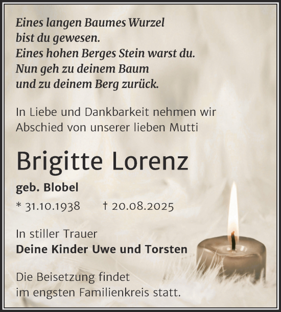 Traueranzeige von Brigitte Lorenz von Mitteldeutsche Zeitung Halle/Saalkreis