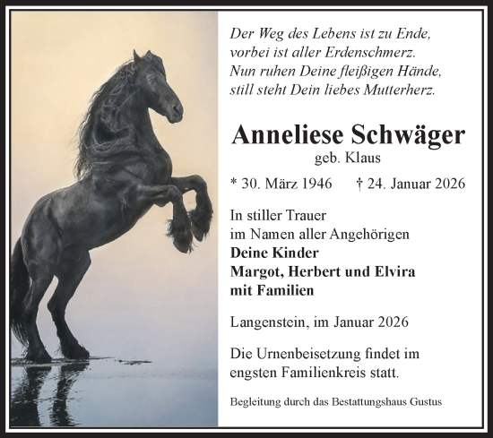 Traueranzeige von Anneliese Schwäger von Volksstimme Halberstadt