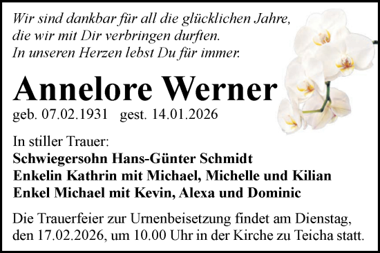 Traueranzeige von Annelore Werner von Mitteldeutsche Zeitung Halle/Saalkreis