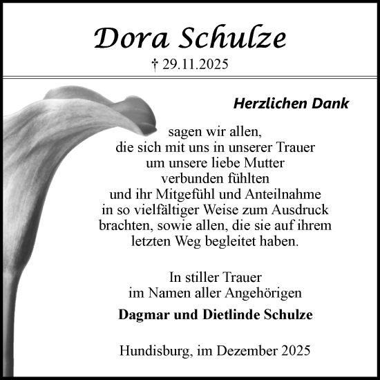 Traueranzeige von Dora Schulze von Volksstimme Haldensleben/Wolmirstedt