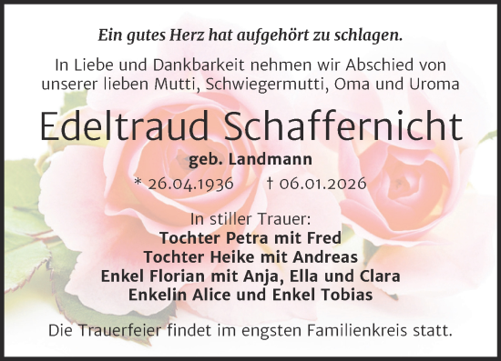Traueranzeige von Edeltraud Schaffernicht von Mitteldeutsche Zeitung Halle/Saalkreis