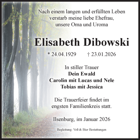 Traueranzeige von Elisabeth Dibowski von Volksstimme Wernigerode
