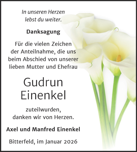 Traueranzeige von Gudrun Einenkel von Trauerkombi Bitterfeld