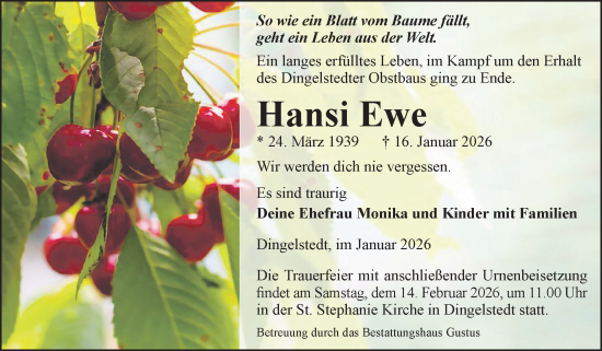 Traueranzeige von Hansi Ewe von Volksstimme Halberstadt