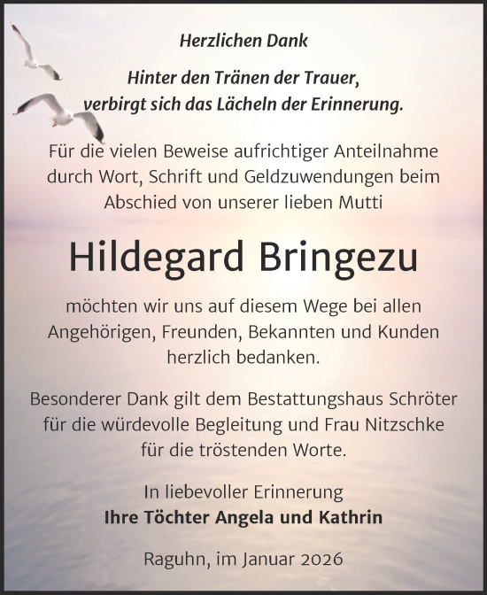 Traueranzeige von Hildegard Bringezu von Trauerkombi Bitterfeld