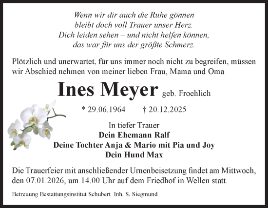 Traueranzeige von Ines Meyer von Volksstimme Haldensleben/Wolmirstedt