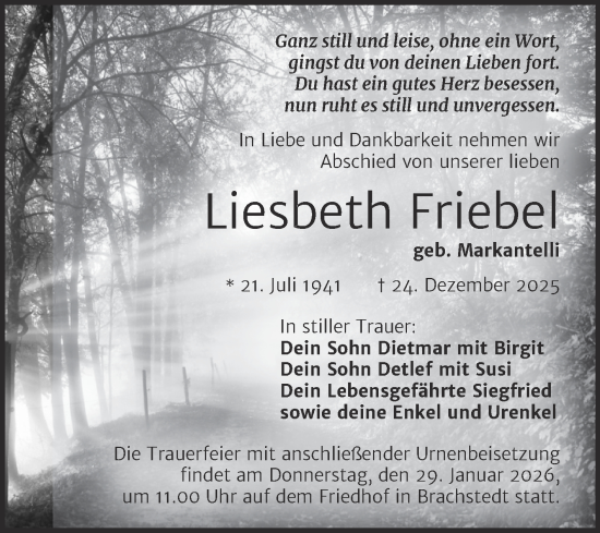 Traueranzeige von Liesbeth Friebel von Mitteldeutsche Zeitung Halle/Saalkreis
