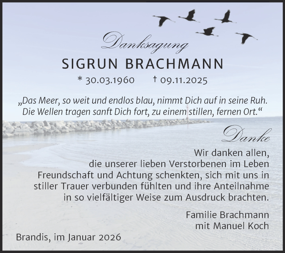  Traueranzeige für Sigrun Brachmann vom 10.01.2026 aus Super Sonntag Sangerhausen