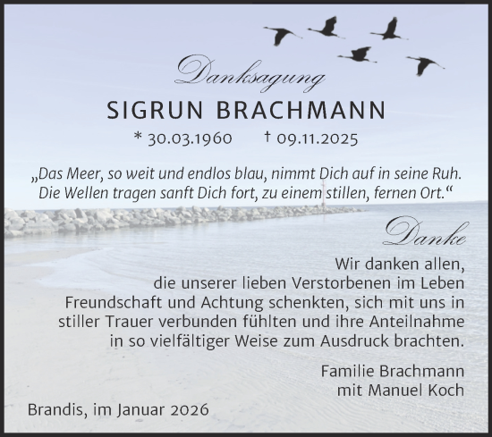 Traueranzeige von Sigrun Brachmann von Super Sonntag Sangerhausen
