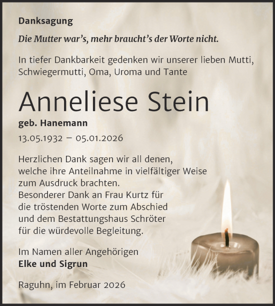 Traueranzeige von Anneliese Stein von Trauerkombi Bitterfeld