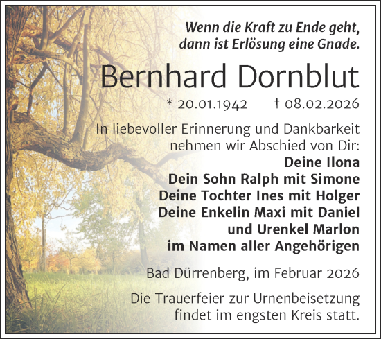 Traueranzeige von Bernhard Dornblut von Trauerkombi Merseburg