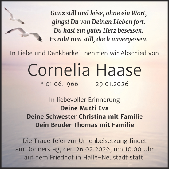 Traueranzeige von Cornelia Haase von Mitteldeutsche Zeitung Halle/Saalkreis