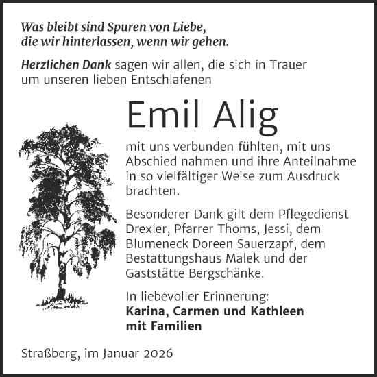 Traueranzeige von Emil Alig von Trauerkombi Quedlinburg