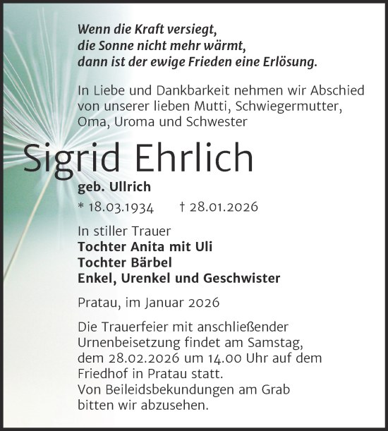 Traueranzeige von Sigrid Ehrlich von Trauerkombi Wittenberg