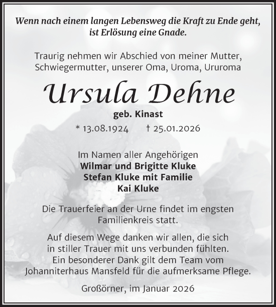 Traueranzeige von Ursula Dehne von Trauerkombi Mansfelder Land
