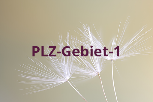 PLZ-Gebiet 1 PLZ-Gebiet 1
