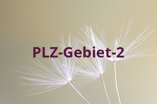 PLZ-Gebiet 2
