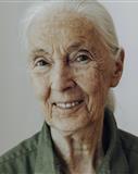 Profilbild Jane Goodall