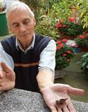 Profilbild Uwe Weber